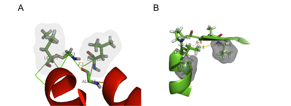 Examples of C-terminal helix capping motifs present in KSI. (A) α-L  capping motif. (B) Proline capping motif.