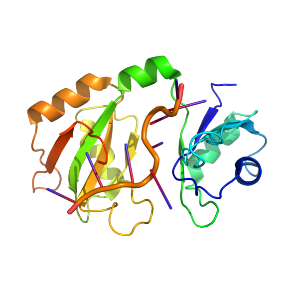 Image:Hrp1 Pro Image.png