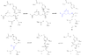 Serine hydrolase mechanism utilized by LPL to catalyze the breakdown of one ester bond of a triglyceride