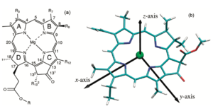 Chlorophyll a molecular model showing the main molecular axes and the transition dipole vector of the Qy band. Image from Oviedo, M. Belén, and Cristián G. Sánchez. "Transition Dipole Moments of the Q y Band in Photosynthetic Pigments." The Journal of Physical Chemistry A 115.44 (2011): 12280-12285.