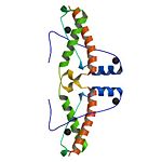 3HAF domain-Dimer