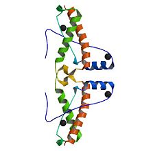 3HAF Domain-Dimer