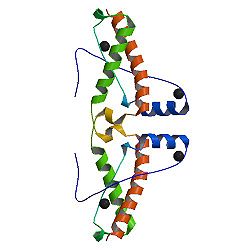 3HAF domain-Dimer