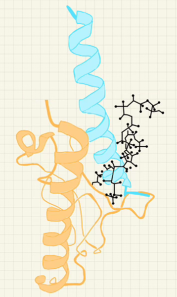 Image:Semaglutide Artwork.PNG