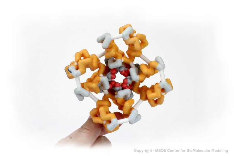 Image:SodiumChannel1 centerForBioMolecularModeling.jpg