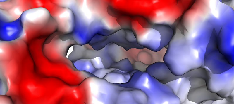 Image:GLUT1 HP Image.png