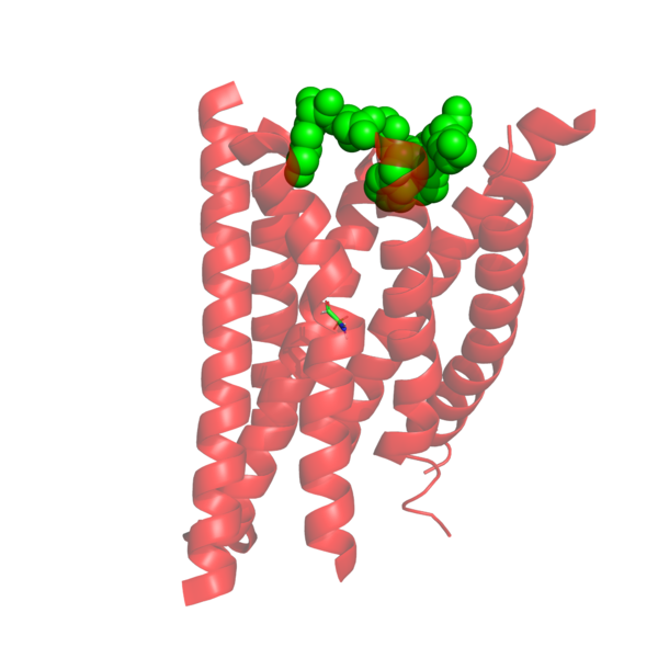 Image:Glycine highlighted w ligand.png