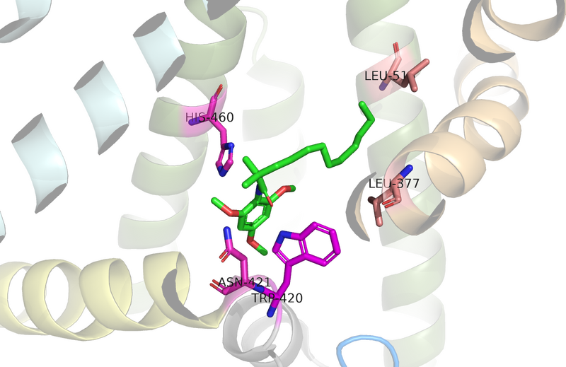 Image:Ligand with residues .png