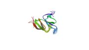 Figure 1- The structure of the two domain fragment of MVP, depicted by NMR. Taken from the 1y7x entry in the PBD. credit to: Kozlov, G., Vavelyuk, O., Minailiuc, O., Banville, D., Gehring, K., and Ekiel, I. (2006) Solution structure of a two-repeat fragment of major vault protein. J. Mol. Biol. 356, 444 – 452.
