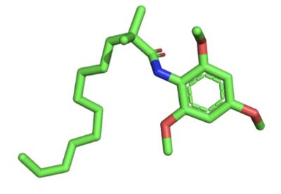 Figure 2. CI-976 Inhibitor