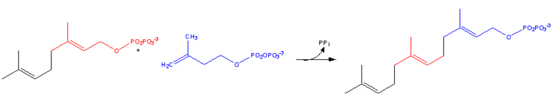 Image:Cholesterol-Synthesis-Reaction9.png