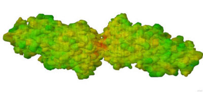 Image 1:Electronegative region in red