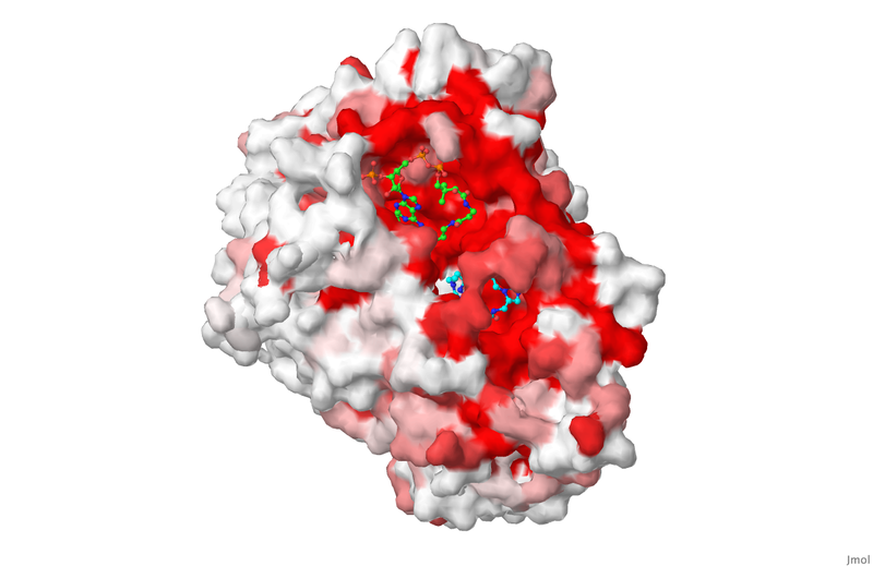 Image:New Surface Bonds Jmol.png