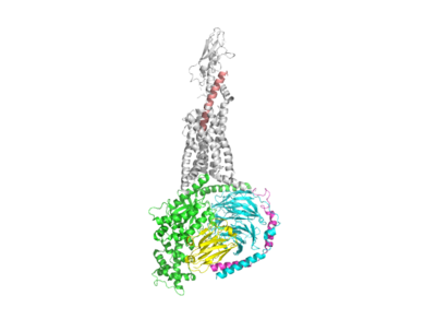 Figure 1. The coolest image of this protein EVAH!!
