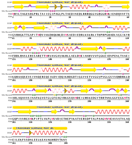 Image:Chorismate Synthase sequencee.png