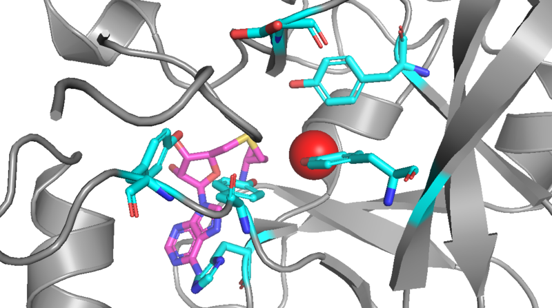 Image:KMT okay active site.png