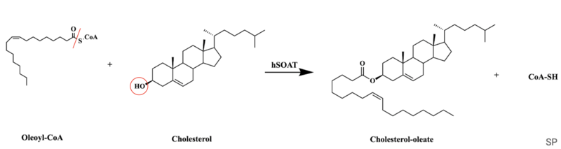 Image:SOAT Reaction.png