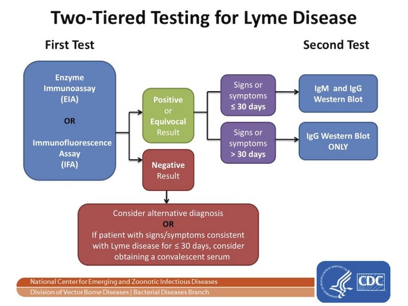 Image:TwoTieredTesting.jpg