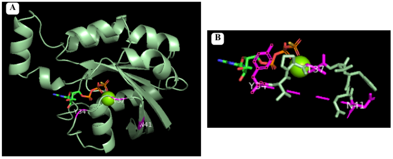 Image:A (1).png