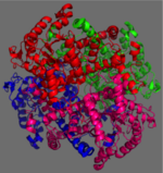 Figure 2: 222 Symmetry of the homotetramer isocitrate lyase. Each identical monomer is shown in a unique color.