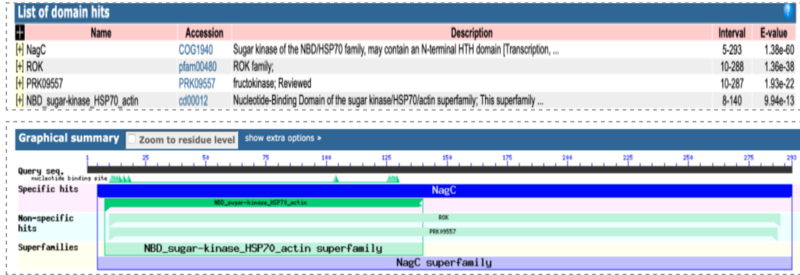 Image:Kinase & ROK Family.png