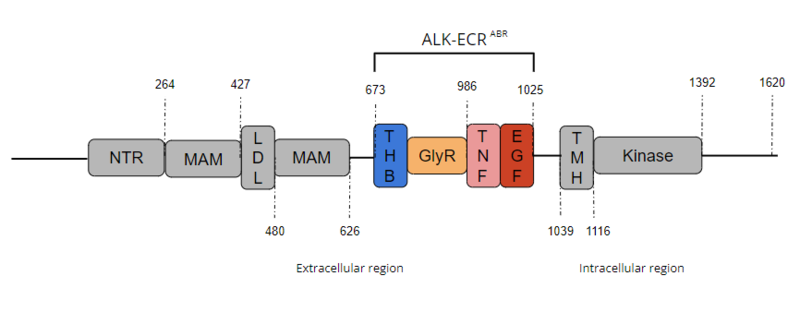 Image:Full ALK Structure Graphic.PNG