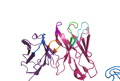 "Figure 1. The coolest image of this protein EVAH!!!"