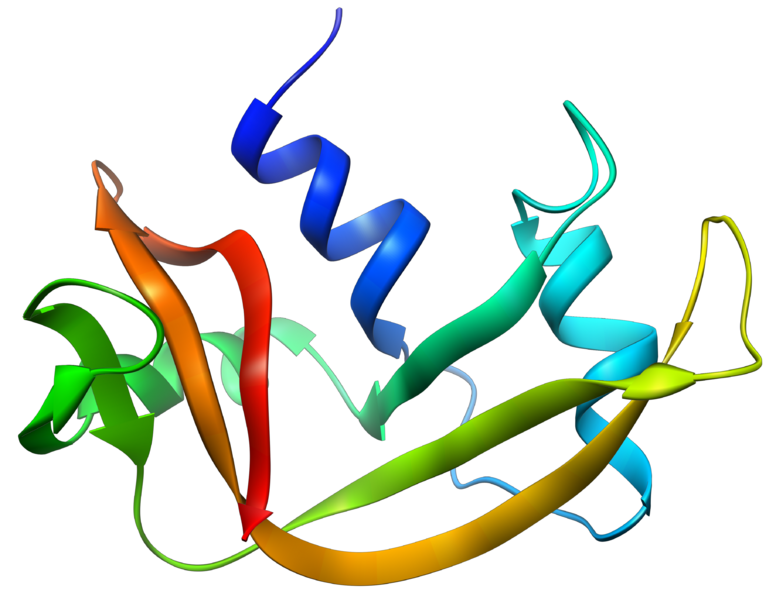 Image:RNase A.png