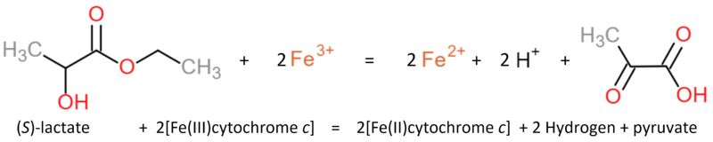 Image:Reaction1.JPG