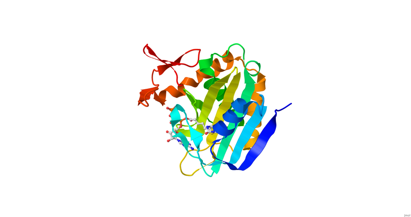 Image:012 Fig 2c.png