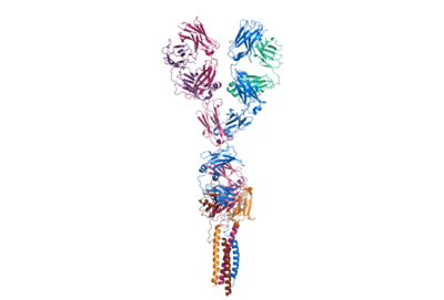 Figure 1. The coolest image of this protein EVAH!!!