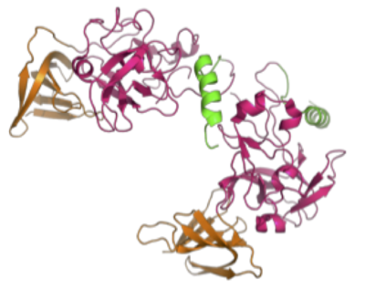 The coolest image of this protein EVAH!