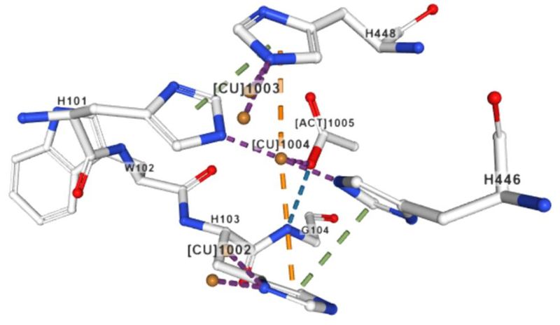 Image:Cu1004.jpg