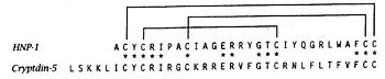 Defensin-Alpha-1 cysteine connectivities.