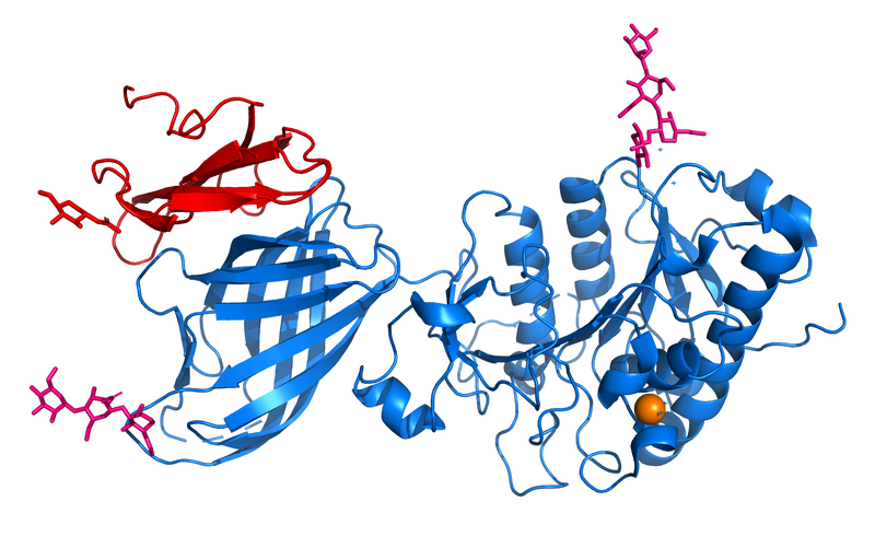 Image:LLP1.png