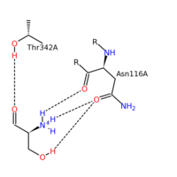 SHMT residue interactions with PLP