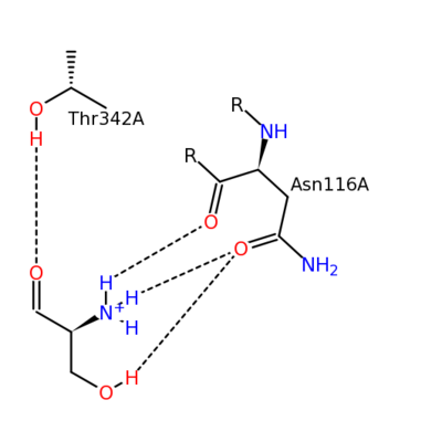 SHMT residue interactions with PLP