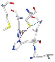 Figure 2: Copper 1001