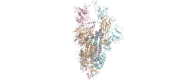 Image:Spike Protein on Covid.png