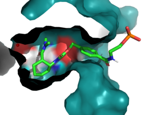 Figure 1. Active Site