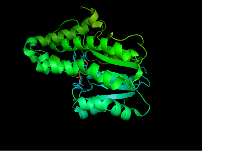 Image:Monomer Publication Image.png