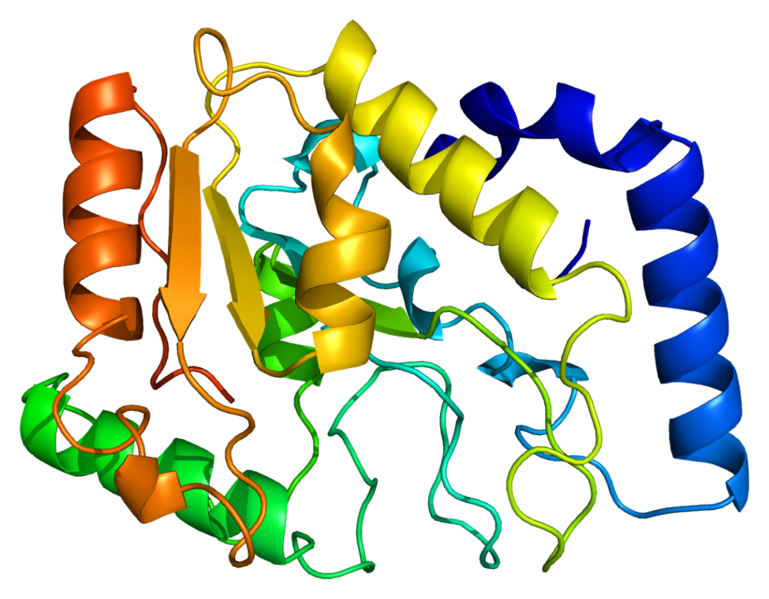 Image:Protein UNG PDB 1akz.png
