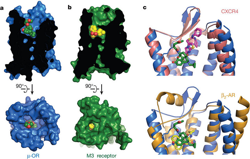 Image:Fig2.jpg