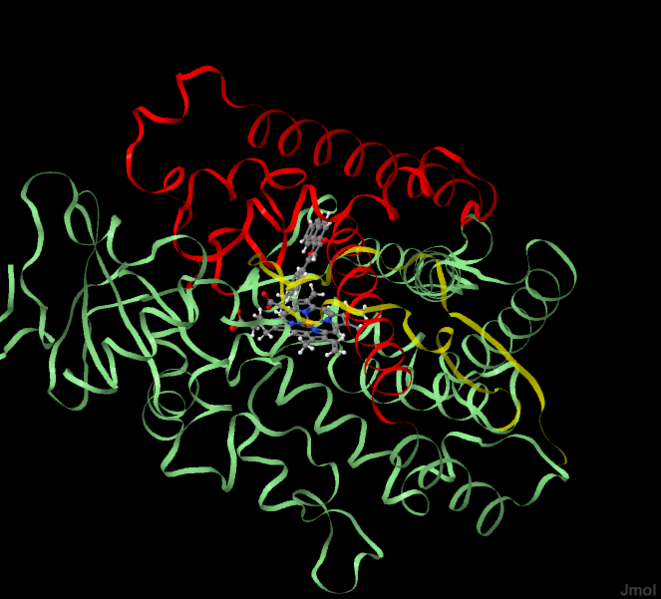 Image:2hi4view1.pngj