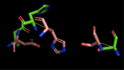 Figure 4: Alignment of 4Q7Q's putative catalytic triad (shown in green) and 1BWR's catalytic triad (shown in pink). The RMS is 2.049.