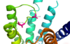 Figure Legend: Active sites linked to glucagon binding affinity located on ECL1 are labeled