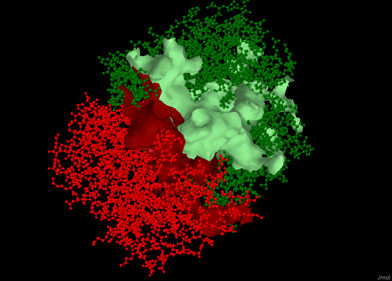 Image:Cachedisosurface.png