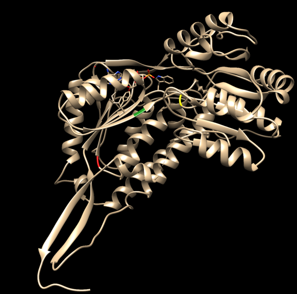 Image:Catalytic sites.png