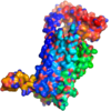 Globular representation of GPCR