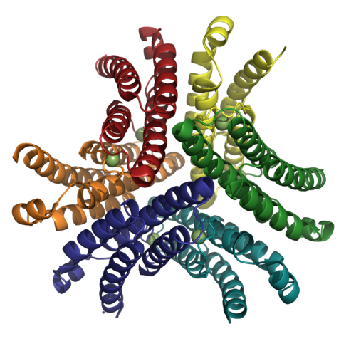 Fig. 2: Hexameric NiSOD. Figure created with PyMol. PDB ID 1T6U.